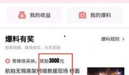 怎么用今日头条爆料视频,如何利用今日头条爆料视频，让你的声音被更多人听见