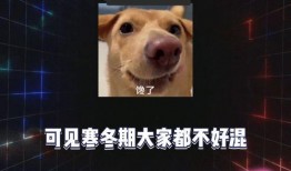 八卦吃瓜免费网站视频播放,揭秘热门视频播放背后的秘密